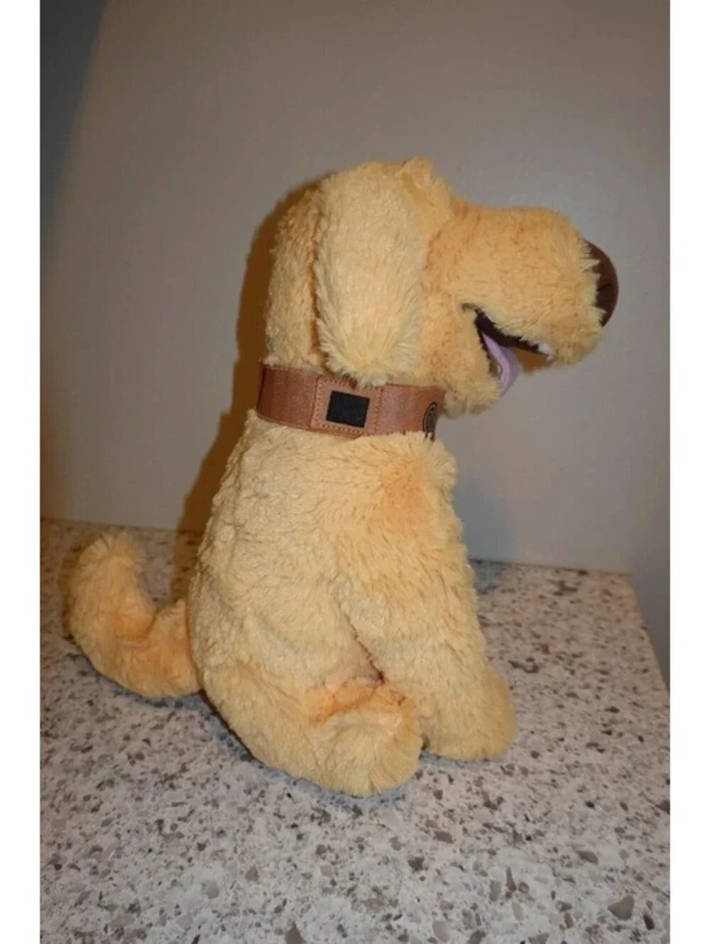 Disney collar up dug